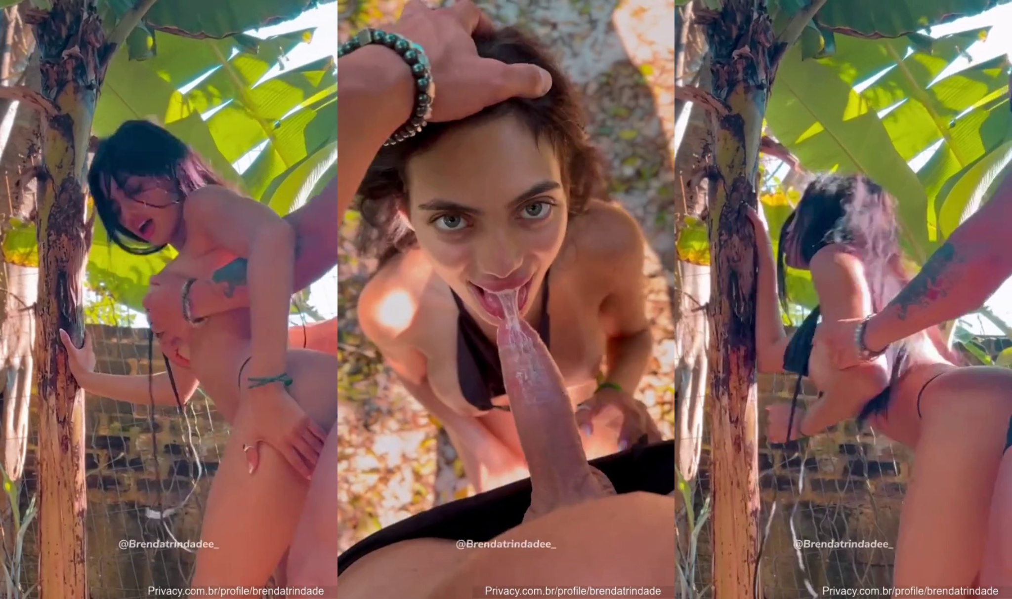 Brenda trindade privacy